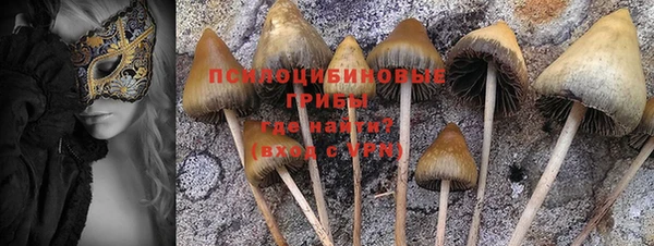 круглые Алексеевка