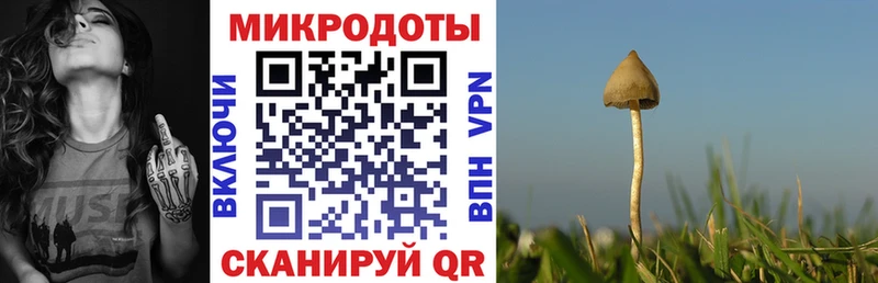 Галлюциногенные грибы прущие грибы  Нефтегорск 